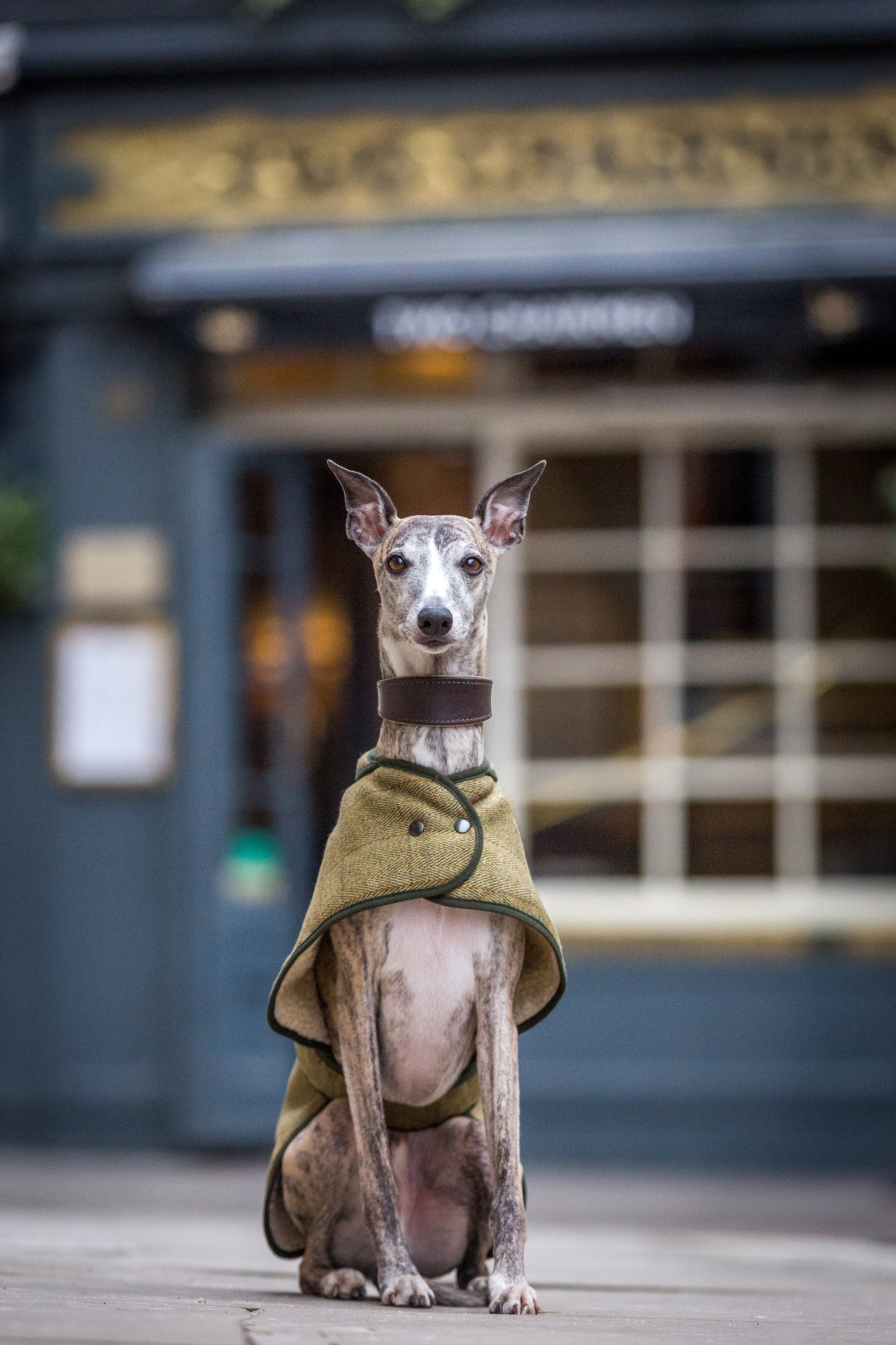 Tweed Whippet Coat