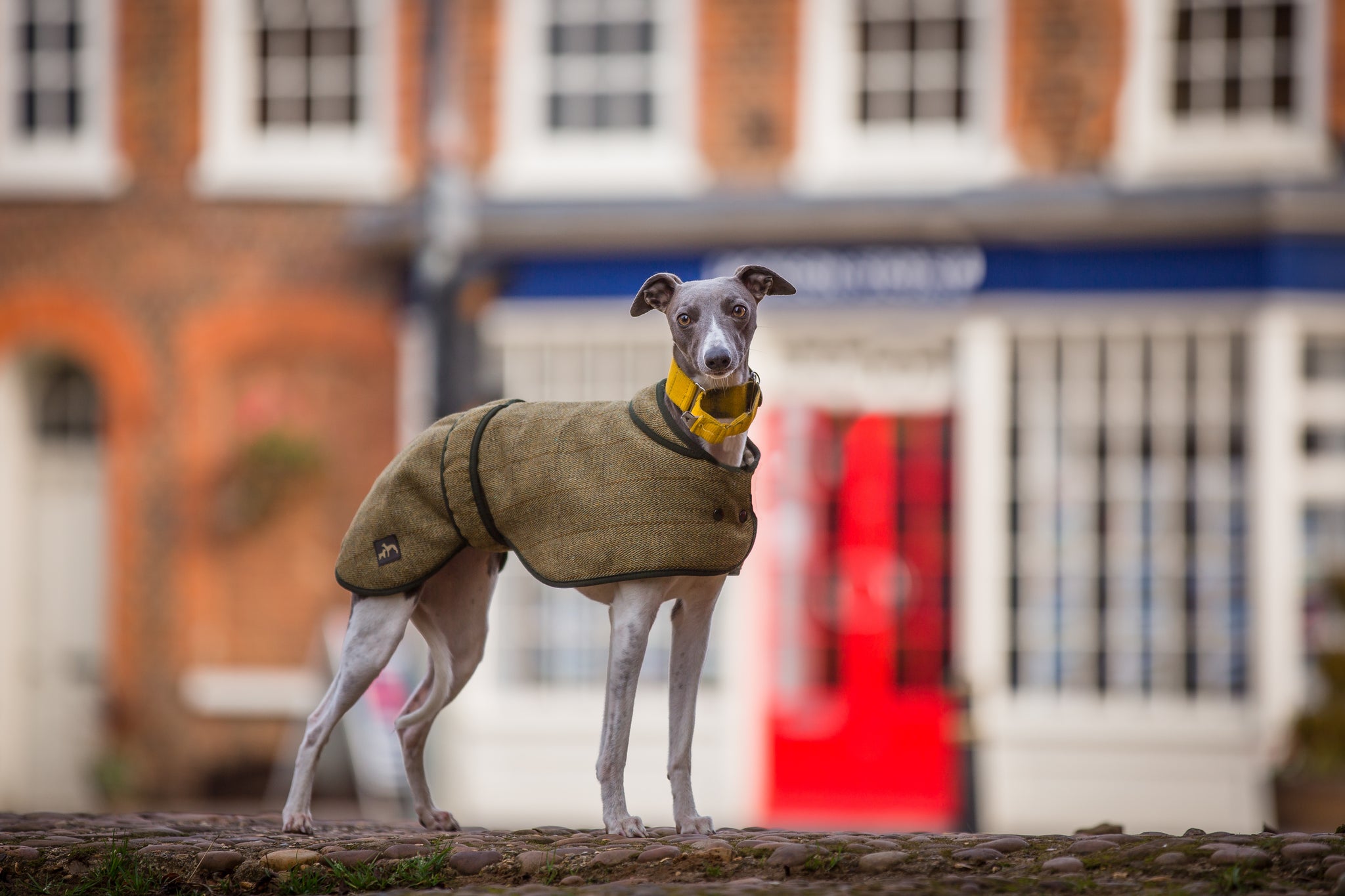 Tweed Whippet Coat