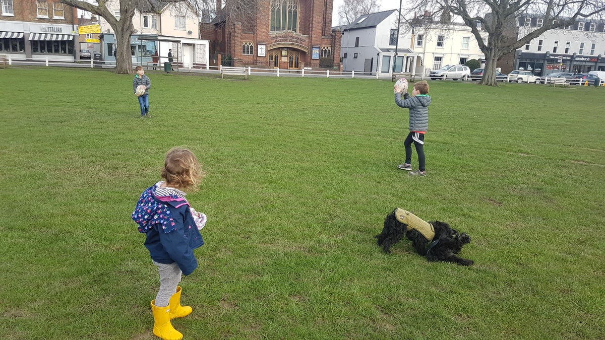 #twickenhamgreen #comeonengland