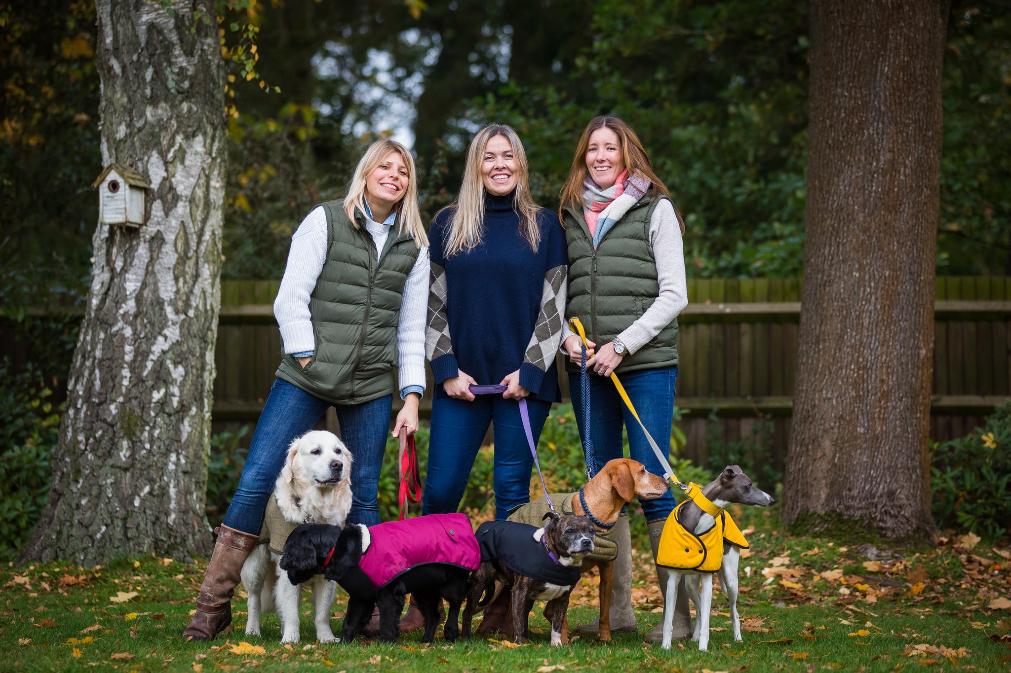 3 Crazy Dog Ladies