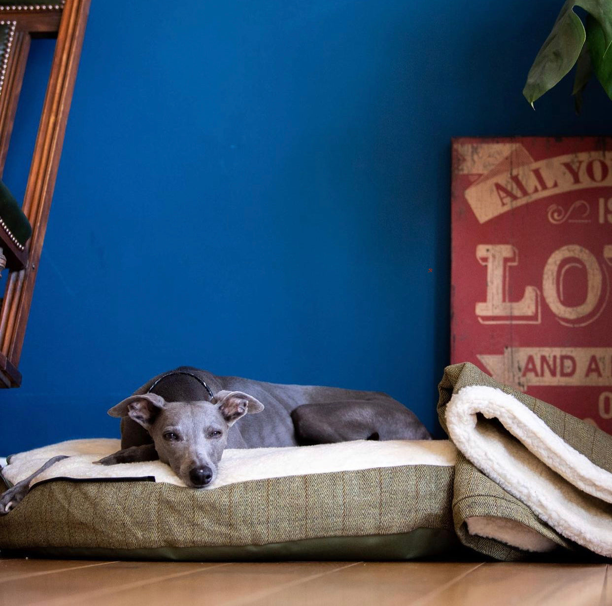 Beds for deals greyhounds uk