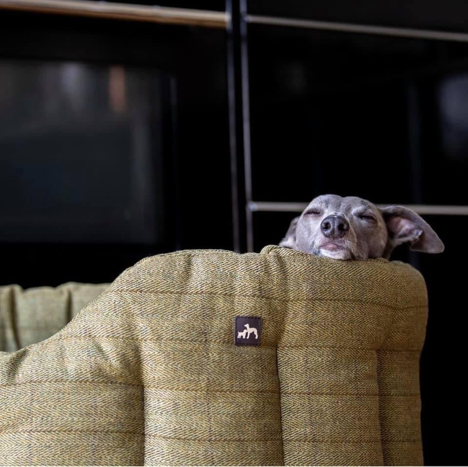 Tweed Dog Bed
