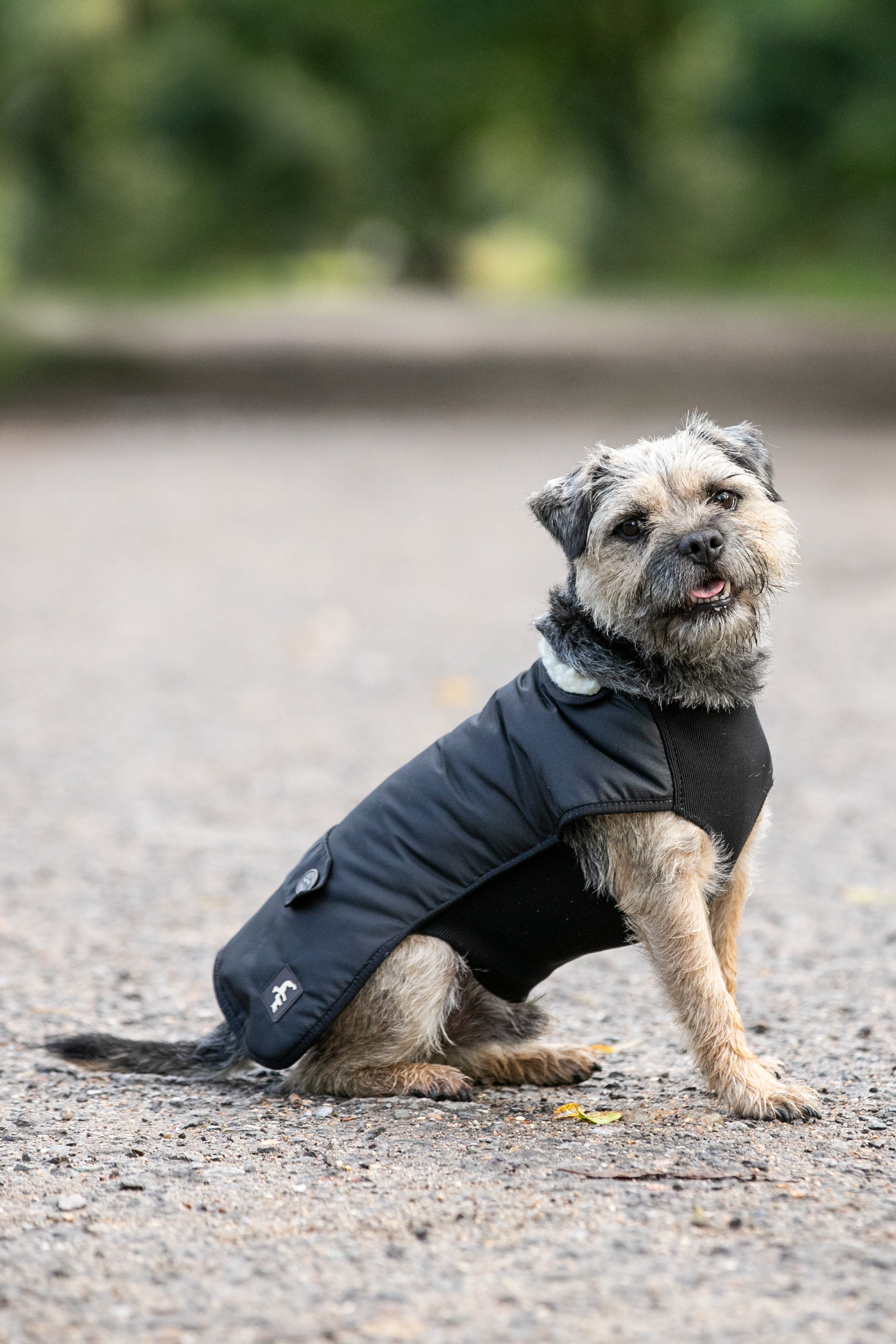 Drywalks Good Dog Walking Jackets Waterproof Coat Warm Dog Walking