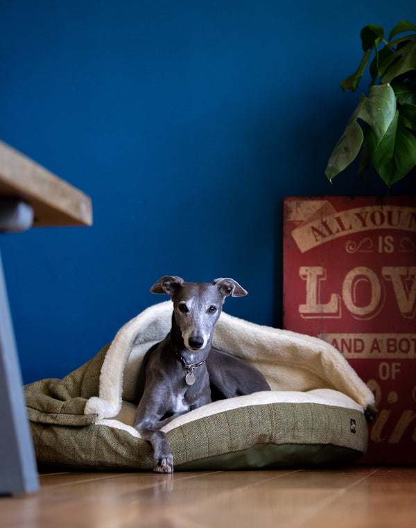 Tweed Cave Dog Bed